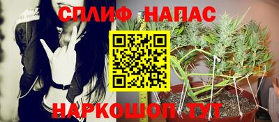 дмт Ливны