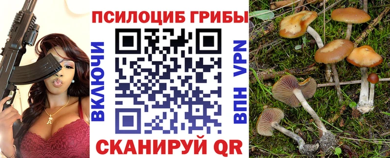 Псилоцибиновые грибы Psilocybe  Грязи 